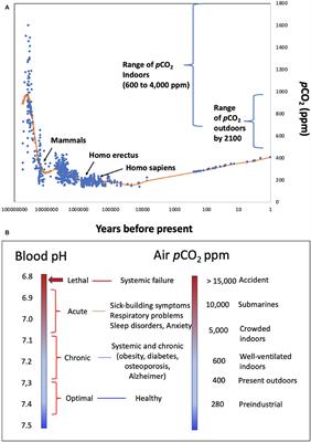 Hypothesis: Potentially Systemic Impacts of Elevated CO2 on the Human Proteome and Health